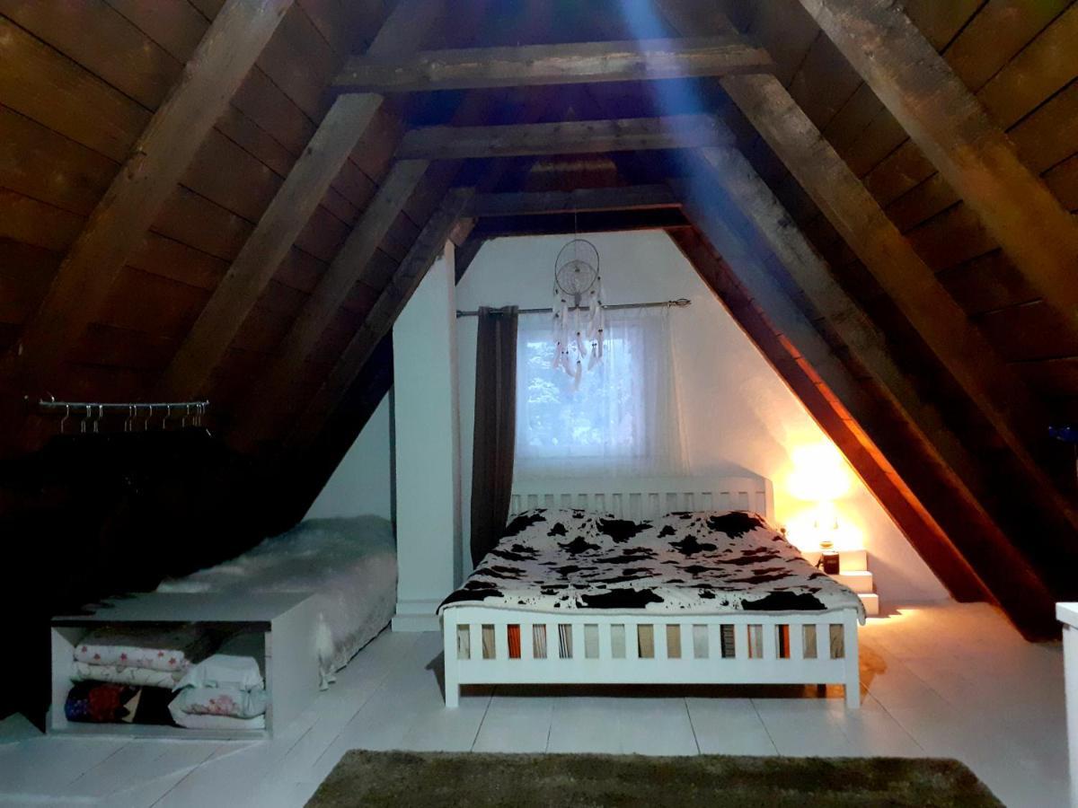 Stay Wild Žabljak Dış mekan fotoğraf
